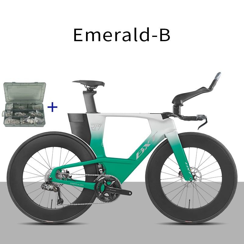 BXT -TT-219 New Carbon Time Trial/Triathlon Bike Carbon Fiber Bikes Road Bike LTWOO ERX 24 Speeds TT Bicycle