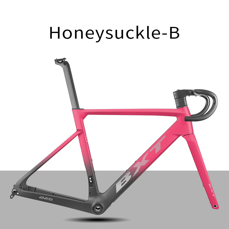 BXT  Carbon Road Bike Frame XXXS-XL size Disc Brake Full Hidden Cable UDH Hanger Road Bicycle Frameset T1000 With