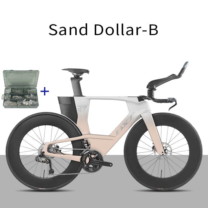 BXT -TT-219 New Carbon Time Trial/Triathlon Bike Carbon Fiber Bikes Road Bike LTWOO ERX 24 Speeds TT Bicycle