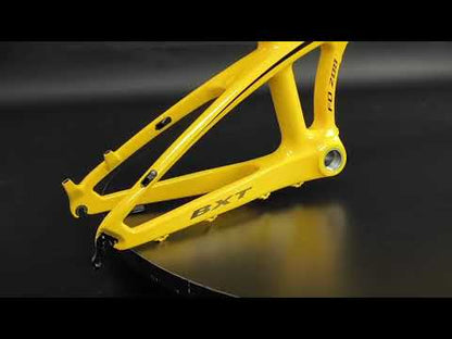 BXT Carbon Fiber Folding Bike Frame, Folding Bicycle Frame, Disc Brake, QR135x9mm, BSA, 20in, T1000